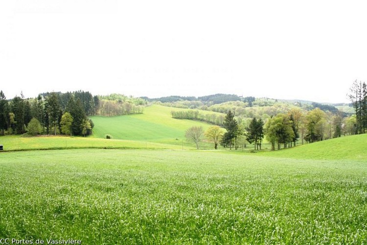 Le circuit du Puy Pointu