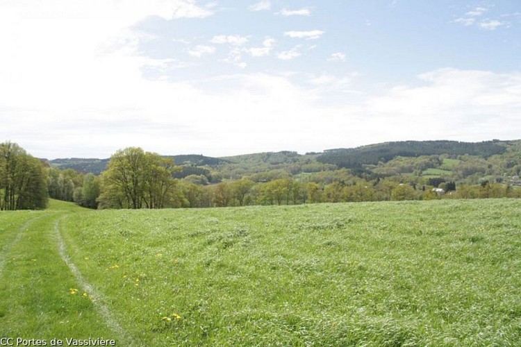 Le circuit du Puy Pointu