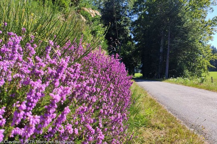 Le circuit du Puy Pointu