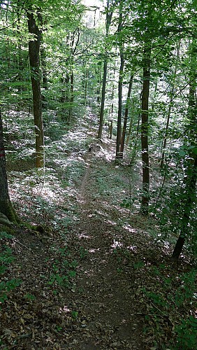 L’Affût des Canons