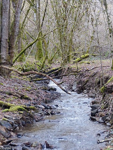 Ruisseau de Saint-Hilaire