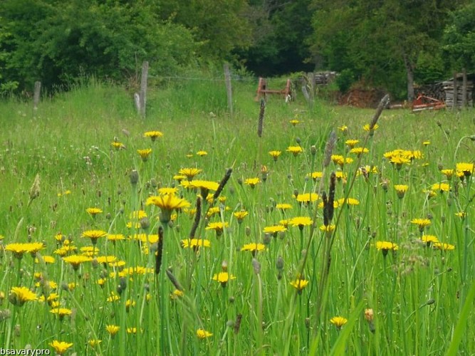 Masgot, jardin de terre et de pierres