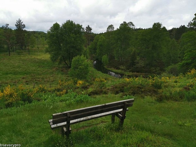 Landes et tourbières de la Mazure