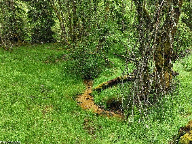 Landes et tourbières de la Mazure
