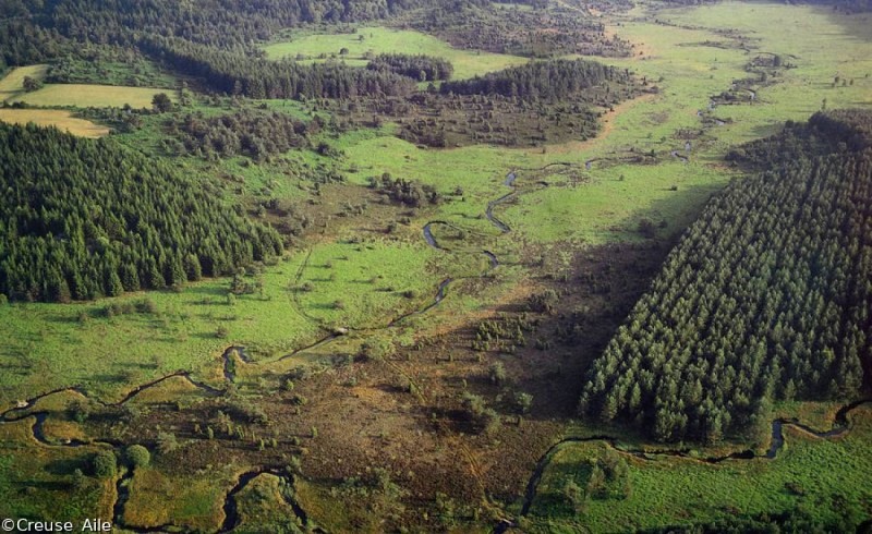 Vue aérienne de la tourbière de la Mazure