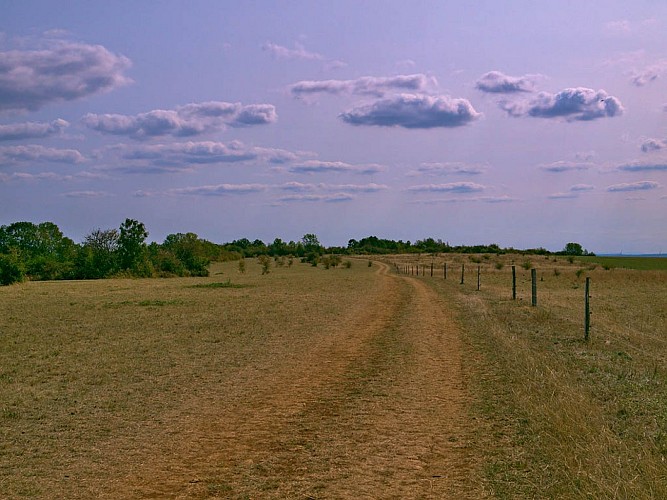 Le chemin sur la Côte de Delme