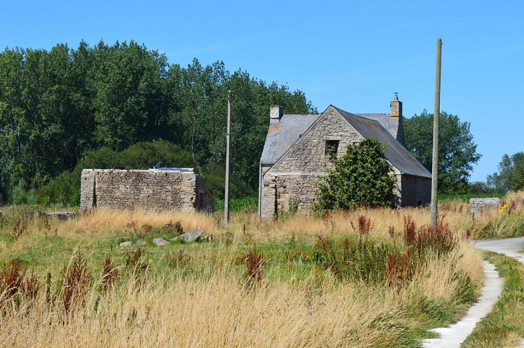 Terre de Manoirs