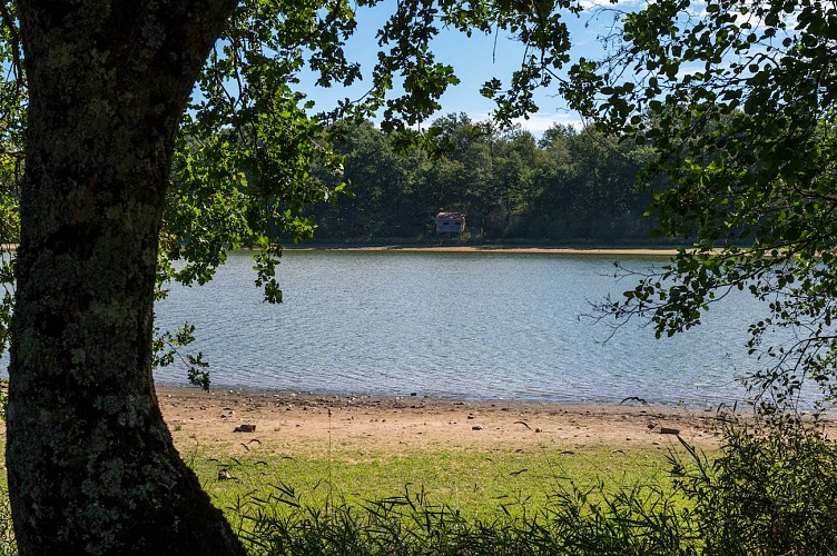 Tour de l'étang de la Pouge