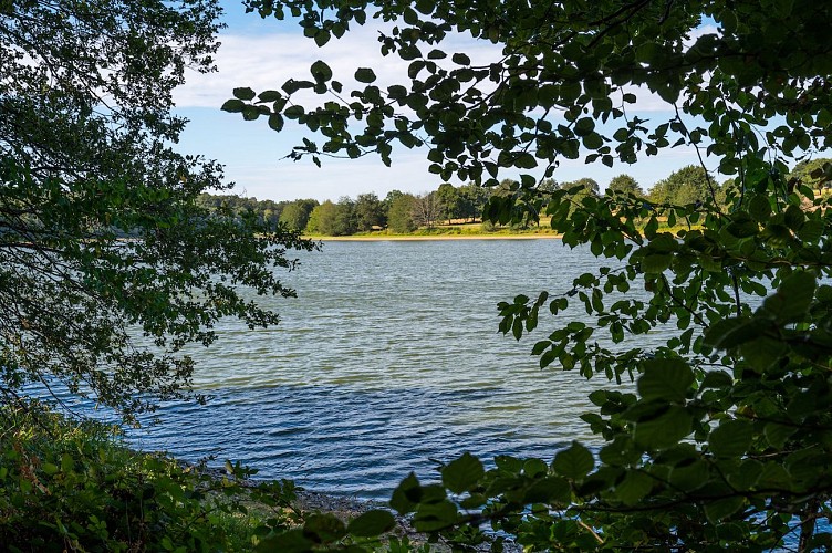 Tour de l'étang de la Pouge