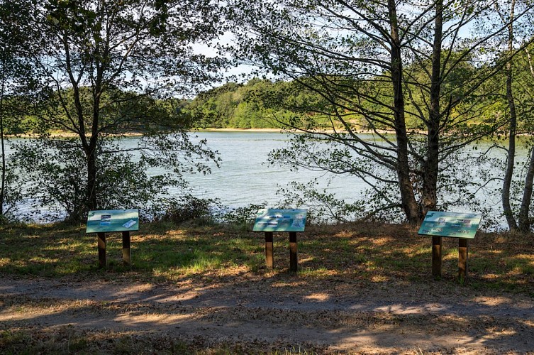 Tour de l'étang de la Pouge