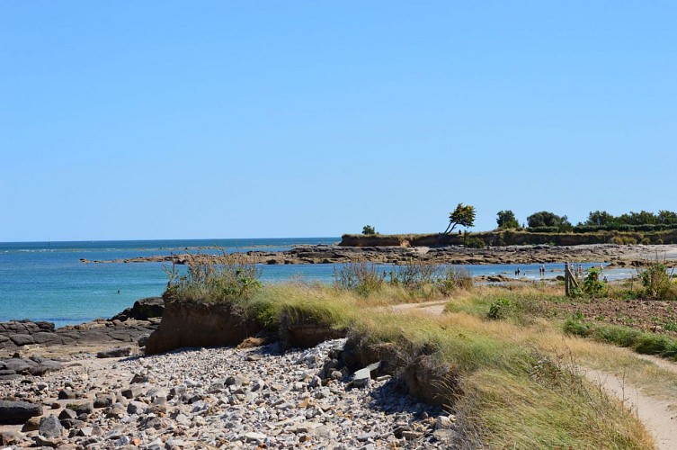 Les Maraîchers du littoral