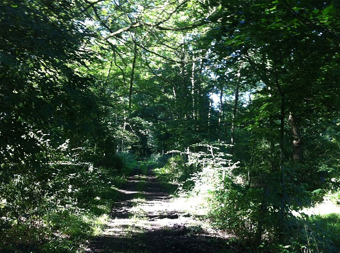 Promenade courte à la découverte du village des Cahottes