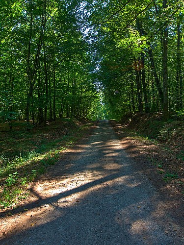 Boucle de Sainte-Anne