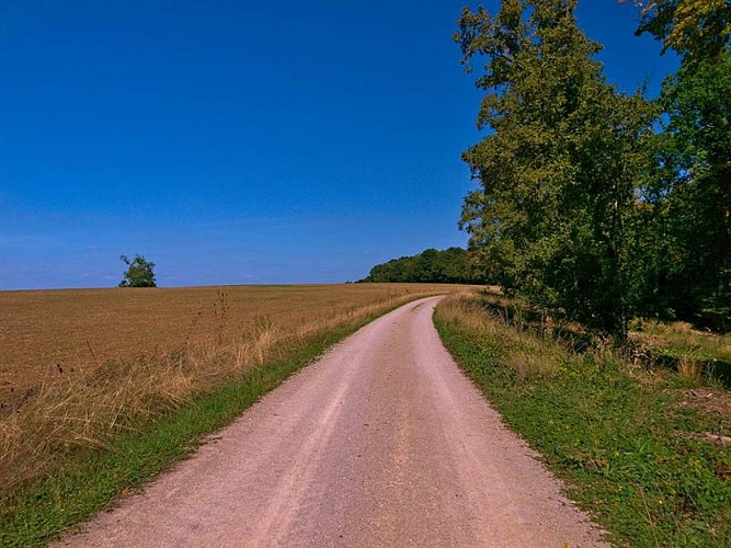 Chemin de randonnée