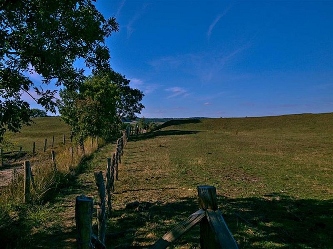 Chemin entre les parcs, Haraucourt-sur-Seille