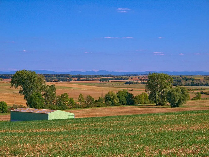 Paysage champêtre