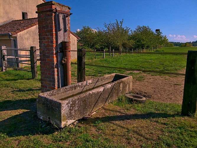 Abreuvoir, Tarquimpol