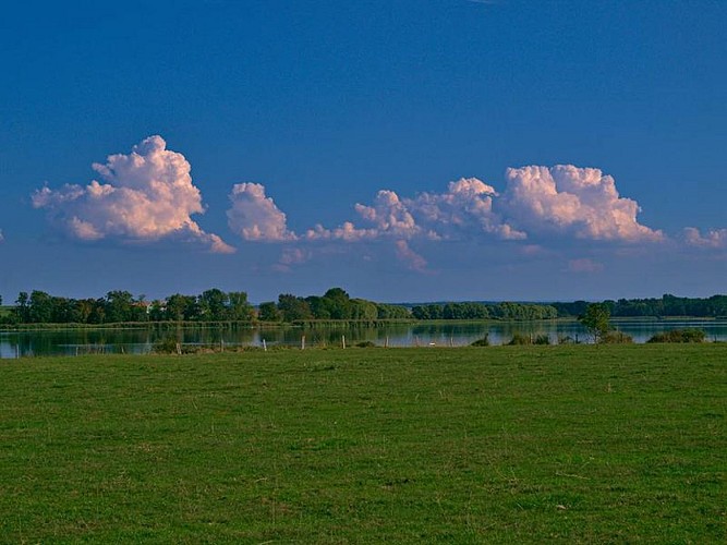 Étang de Lindre depuis le vieux château