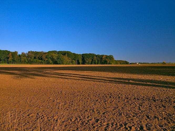 Verbindung Munster - Schleife von Sainte-Anne
