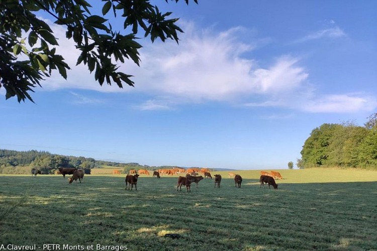 Circuit du Suquet de la Grolle