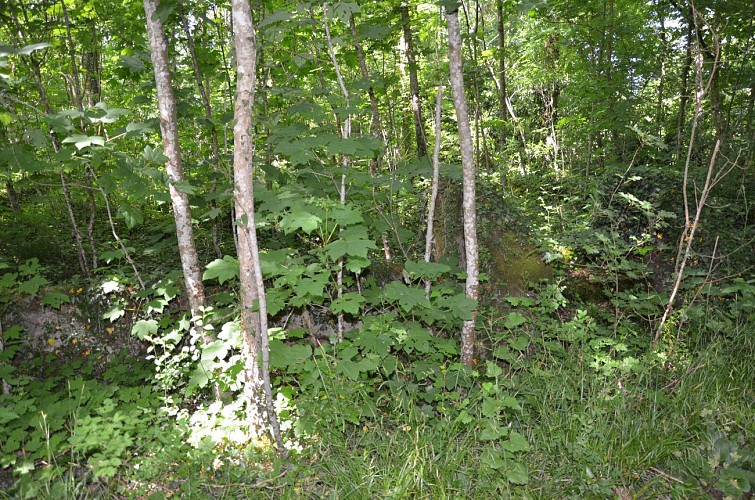 Les châteaux autour de Lanneray