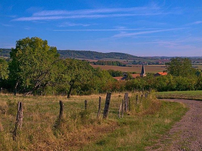 BETWEEN ORCHARDS AND FORESTS