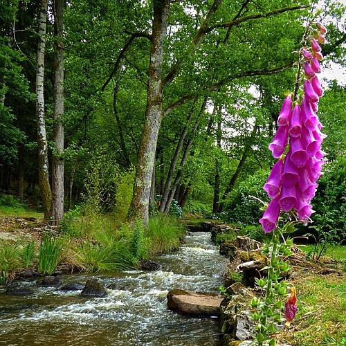 La Traversée du Haut Limousin