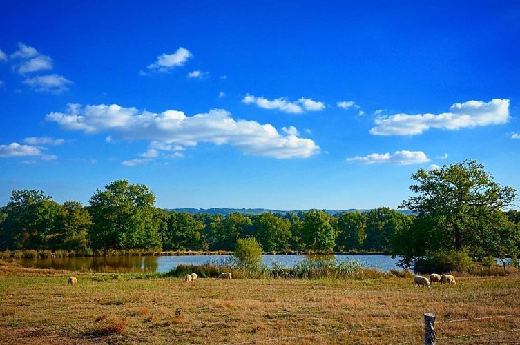 La Traversée du Haut Limousin_3