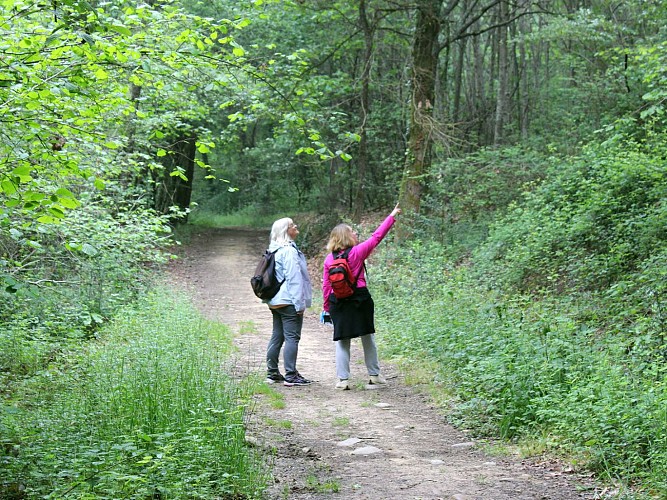 Higuères Souye randonnée entre luy et souye 