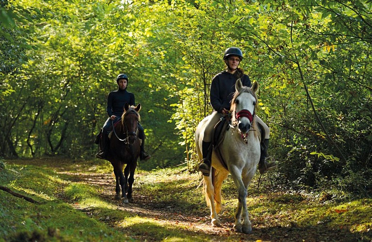 circuit randonnee equestre vic-bilh madiran