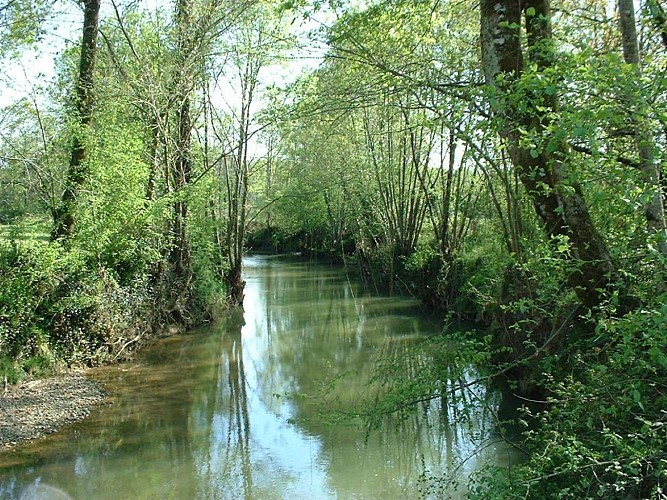 PR8 Le Luy de France