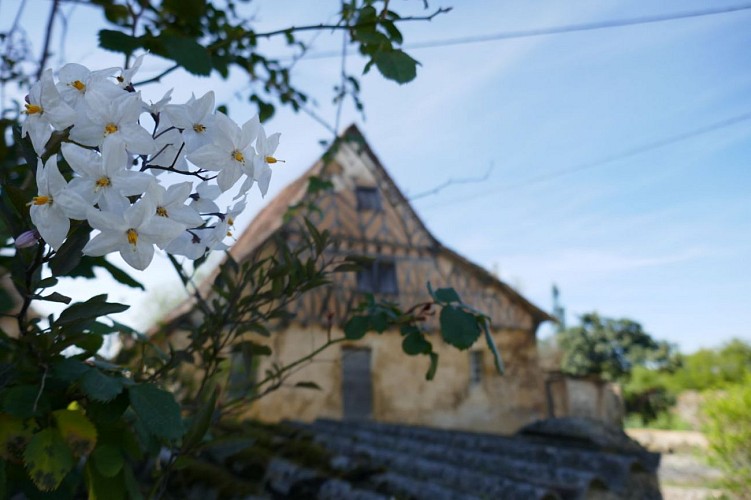PR8 cph Tourisme Nord Béarn et Madiran (13)