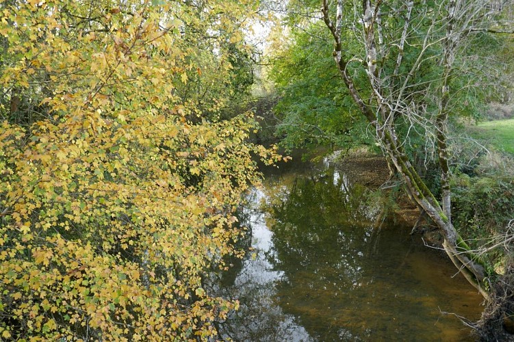 PR11 Montagut Le luy de France randonnée pédestre nov 2021 crédit tourisme nord bearn madiran (35)