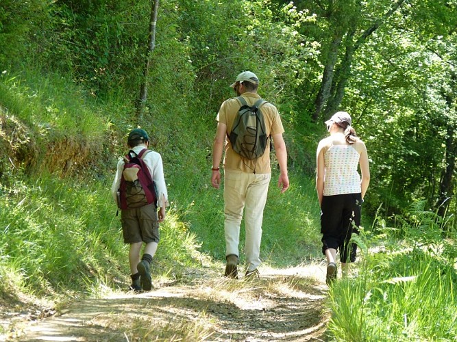 Aubin : chemin de l'Aubiosse