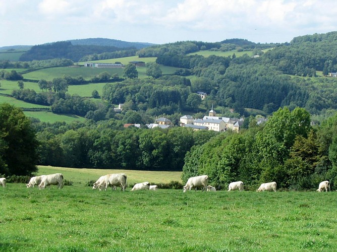 988.villapourcon de brulotte