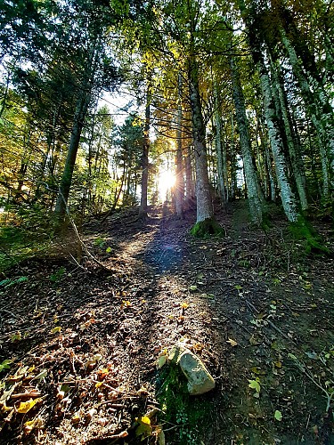 Ascent of the Pointe d'Orchex