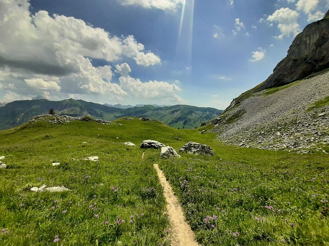 Trail