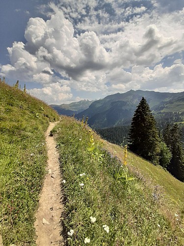 Sentier