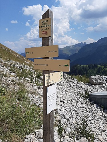Panneau