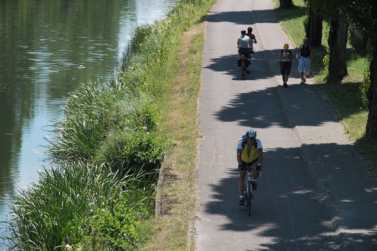 Chemin de Halage - Sarreguemines