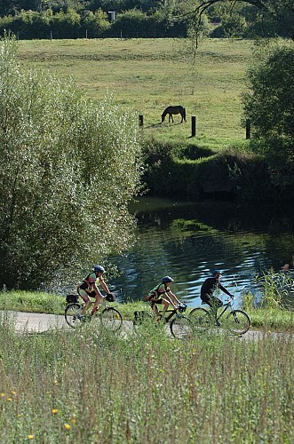 Bord de Sarre - Sarreguemines