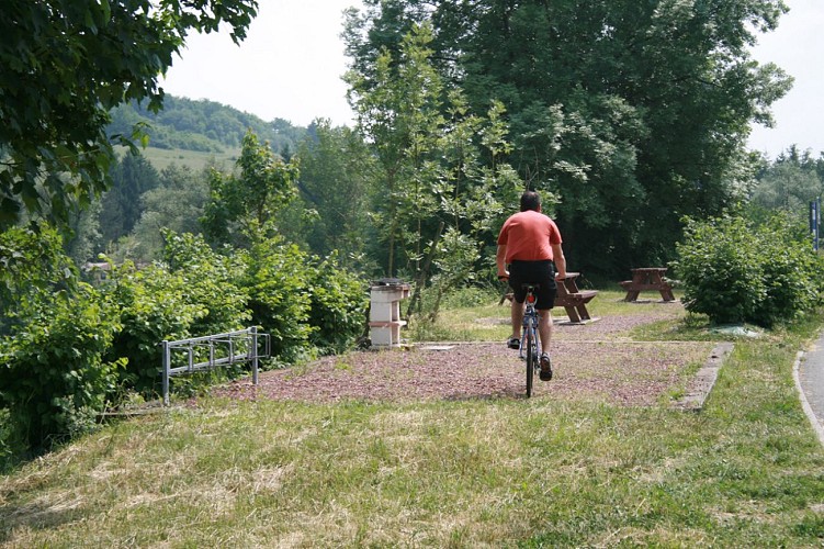 Bord de Sarre - Sarreinsming