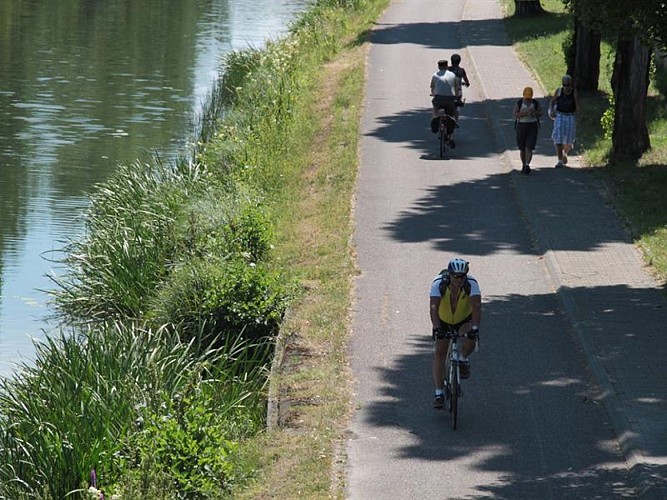 Chemin de Halage - Sarreguemines