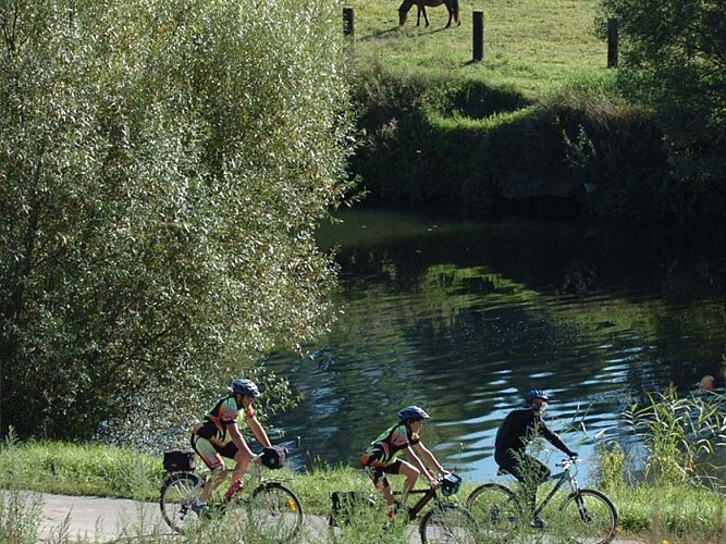 Bord de Sarre - Sarreguemines