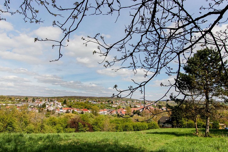 Entre château, village et forêt à Rémelfing