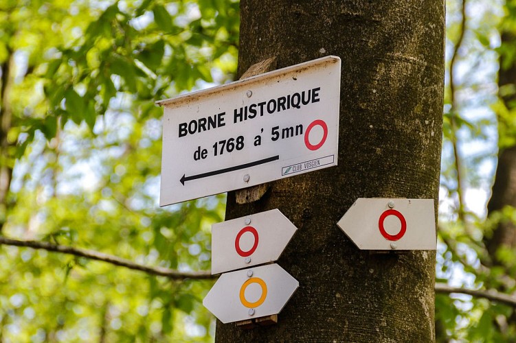 Entre château, village et forêt à Rémelfing