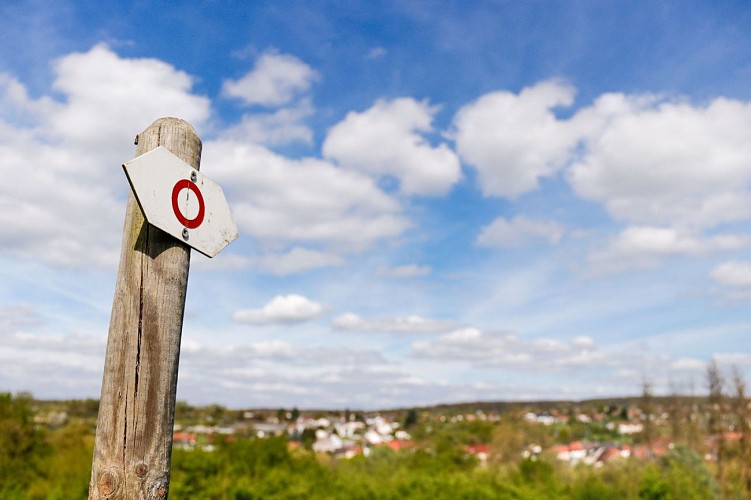Entre château, village et forêt à Rémelfing