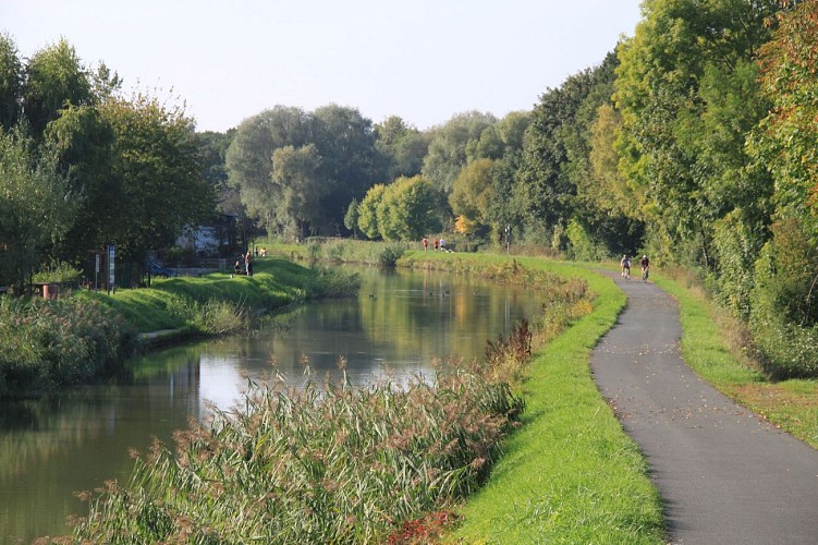 Entre château, village et forêt à Rémelfing