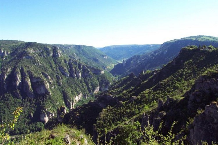La vallée du Tarn
