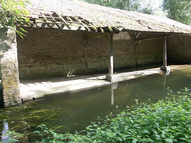 蒙尔埃维克，一个与其森林紧密联系的村庄